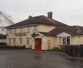The Wych Elm