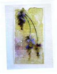 Wisteria by Helen Appleby