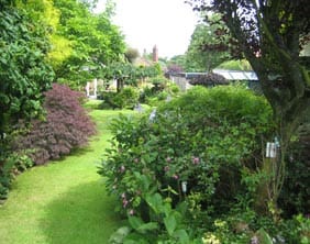 Mr and Mrs B Littler’s rear garden from the 2009 Burntwood in Bloom contest