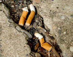 Cigarette butts