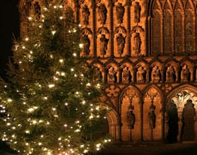 cathedral-christmas-tree Lichfield Cathedral