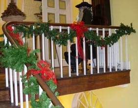 Christmas at Erasmus Darwin House
