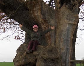 portia-howe-with-oldest-tree-in-district Portia Howe on the tree which is thought to be oldest in Lichfield district – an Oak in Colton that started growing around 1480