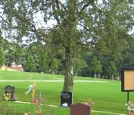 burntwoodcemetery Burntwood Cemetery