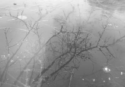 ice
