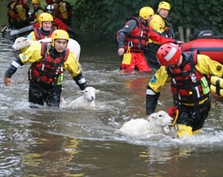 Firefighters rescuing the sheep from flooding in Lichfield