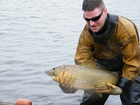 fish One of the fish is examined. Pic: Lichfield District Council