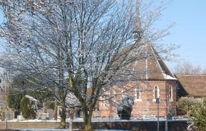 The trees in Fradley before they were chopped down