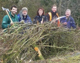 Chris Walsh, Stephen Wilkinson, Ruth Witczak, Rob Taylor and Tom Reid at a recent hedge-laying event