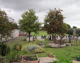 Highfields-Primary-School---Winner,-Best-Under-12's-Project