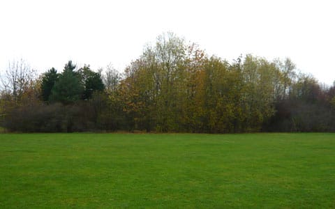 The woodland at Stychbrook Park
