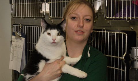 Danni-Pountain---Deputy-Head--Nurse-at-Pool-House-Veterinary-Hospital Danni Pountain