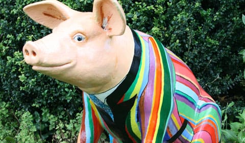 Trevor the Lichfield Festival pig in his striped jacket
