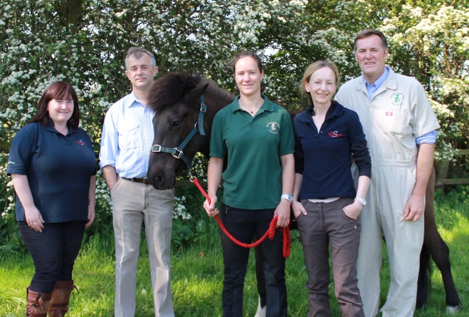 Some of the Horse Vets United team