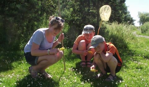 Georgia, Lewis and Harry on the hunt for bugs