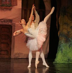 The Vienna Festival Ballet