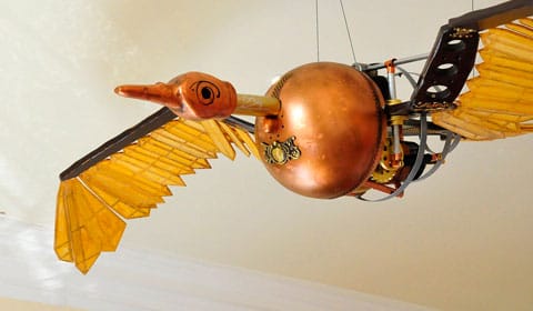 The new flying bird exhibit at Erasmus Darwin House