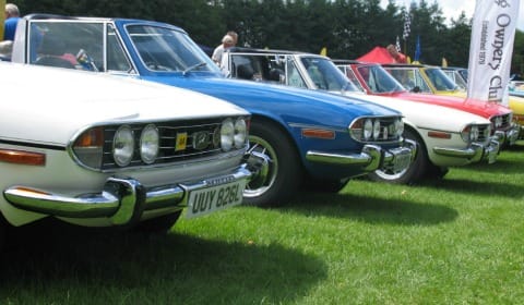 Cars in the Park