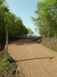 Part of the new wetland walk at Chasewater