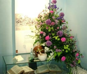 A floral display at Erasmus Darwin House
