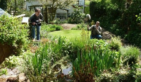 Springwatch filming in Wildlife Kate's garden