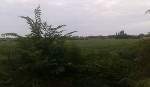 The site of the proposed development off Watery Lane