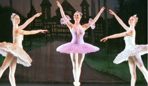 The Vienna Festival Ballet