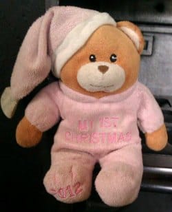 The teddy bear