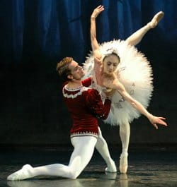 The Vienna Festival Ballet