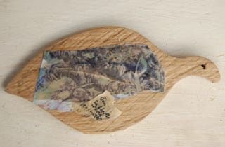 A leaf like the ones which will be hung on the Memory Tree