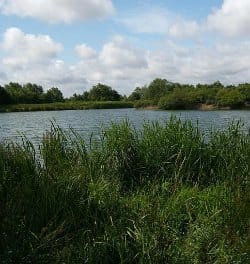Croxall Lakes. Pic: Sjwells53