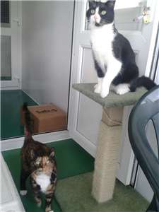 Izzy and Rhea