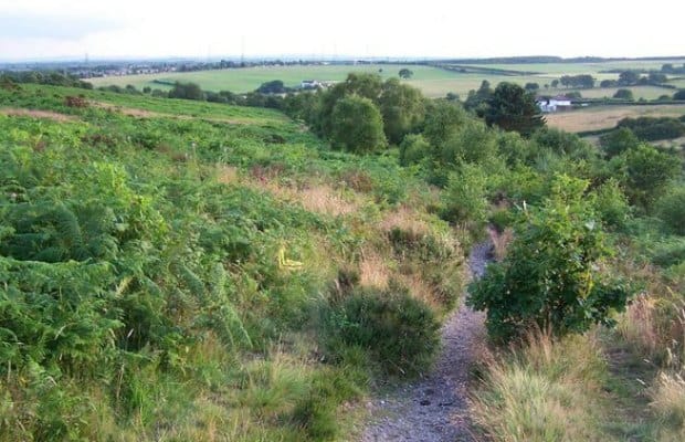 Gentleshaw Common. Pic: Geoff Pick