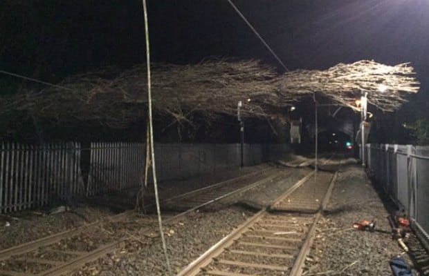 A fallen tree on the cross-city line. Pic: London Midland
