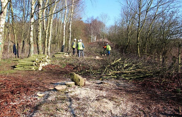 Volunteers working in Darnford Park