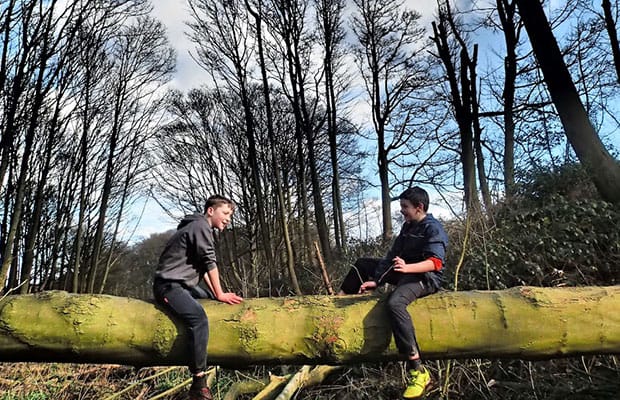 Youngsters taking part in the Forest School programme