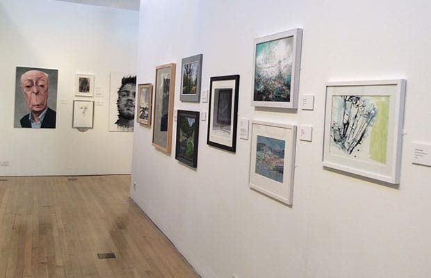 Work on display at Shire Hall Gallery