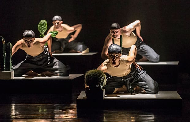 Nederlands Dans Theater 2