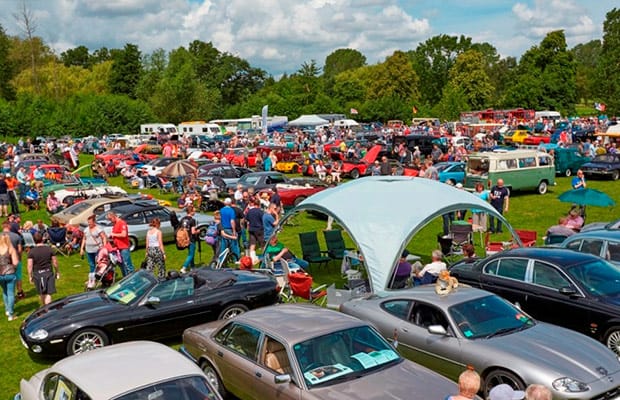 Cars in the Park. Pic: Robert Yardley