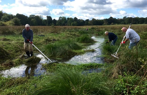 Volunteers at work clearing watercress from Leomansley Brook