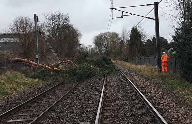 Fallen trees on the cross city line at Sutton Coldfield