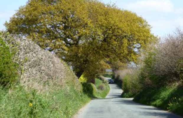 Gravelly Lane in Stonnall. Pic: BrownhillsBob