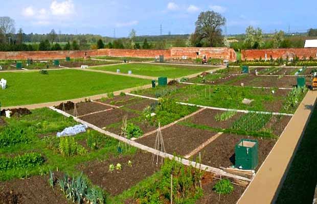 Elford Hall Gardens
