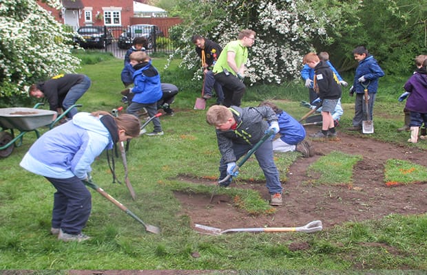 Cubs creating the bee beach in Beacon Park 