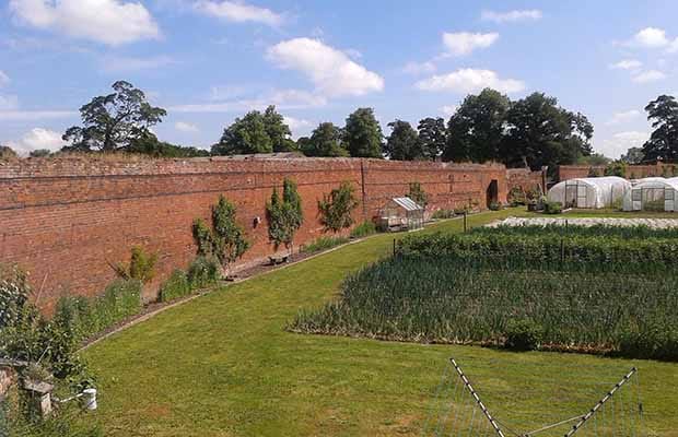 The walled garden