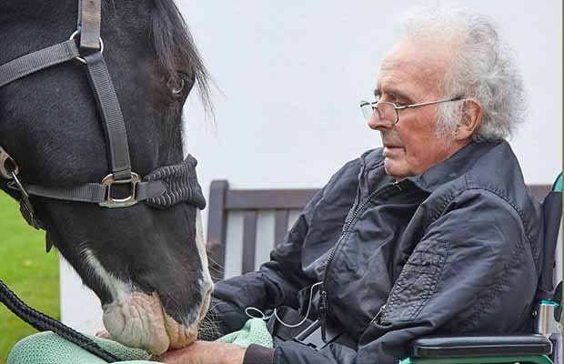 Ron Smith and his horse Jay
