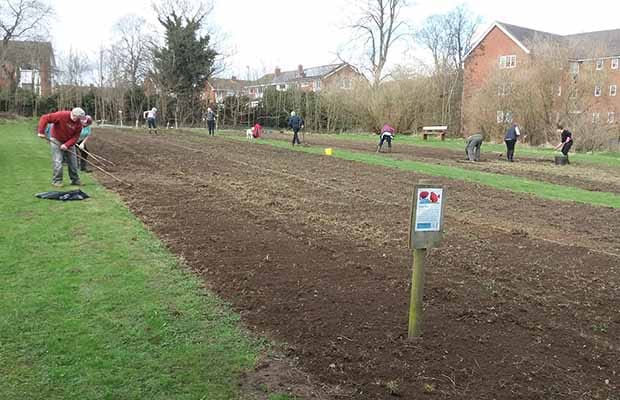 Volunteers sowing poppy seeds in Beacon Park