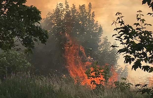 The fire off Sainte Foy Avenue in Lichfield. Pic: Shirley Jenkins