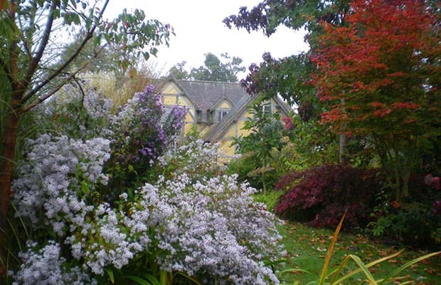 Ray and Michele Blundell's garden