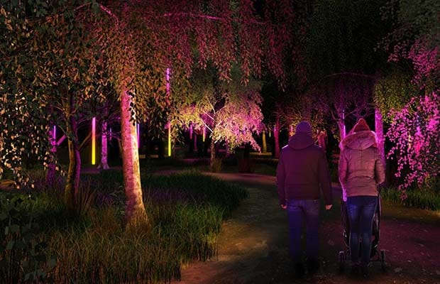 Illuminated Arboretum